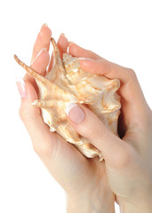 Beautiful hand with perfect french manicure  and sea shell