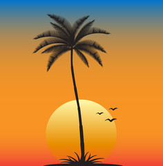 sunset with tropical palm tree vector illustration