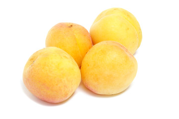 apricots