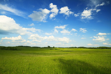 summer landscape