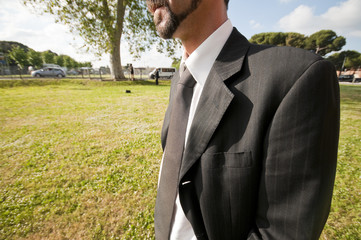 uomo elegante d'affari con paesaggio