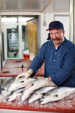fischhändler verkauft frische lachse