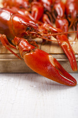 cooked freshwater crayfish on wooden board