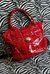 womas red bag and zebra texture