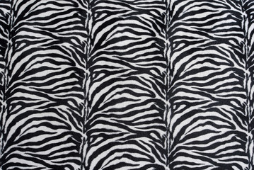 zebra texture