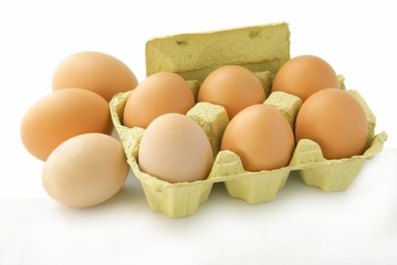hen's eggs