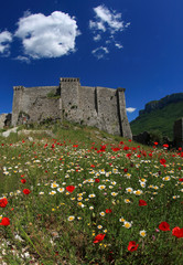 Italian summer:castle with flowers and cloud