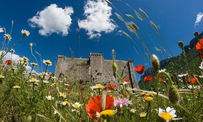 Inside italian summer:art,sun,flowers and colours