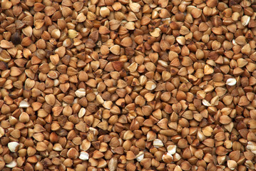 buckwheat