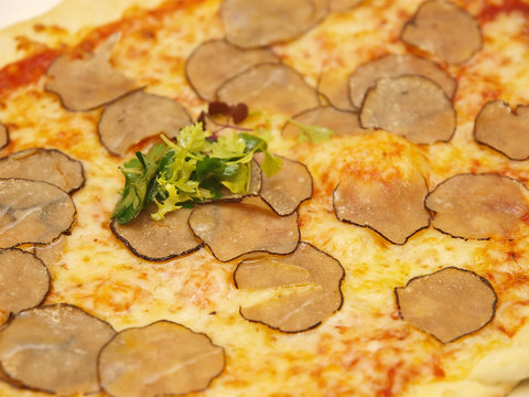 Pizza With Truffle And Cheese