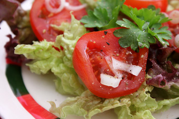 Gemischter Salat