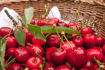 Panier de cerises