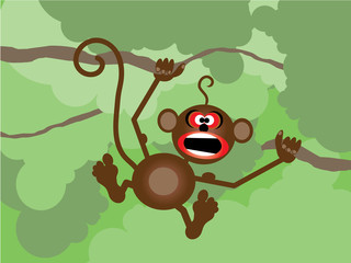Małpka w drzewach - obrazy, fototapety, plakaty