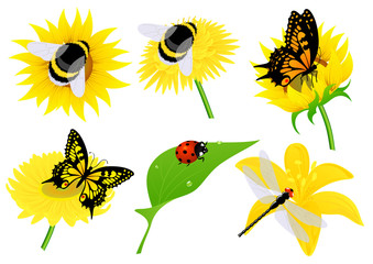 Insects © Alegria111