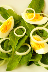 Dandelion salad