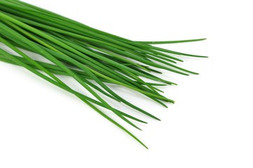 Schnittlauch, Frühstück