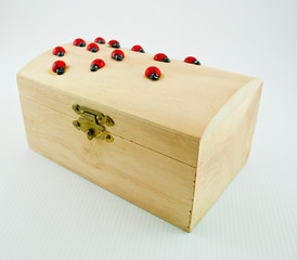 Box and ladybugs 1