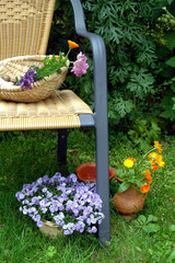 Garten Stuhl Blumen Dekoration