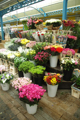Fototapeta na wymiar Rynek kwiatów