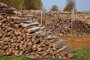 Holzstapel 6314