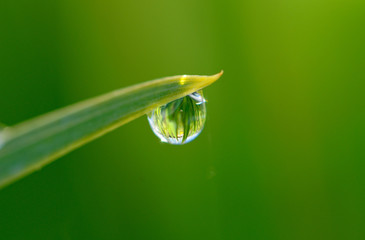 goutte d'eau