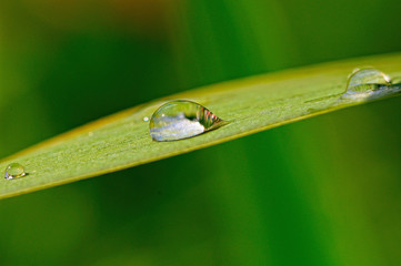 goutte d'eau