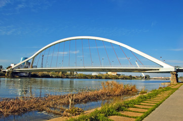Seville bridge