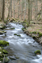 Stream in Poconos
