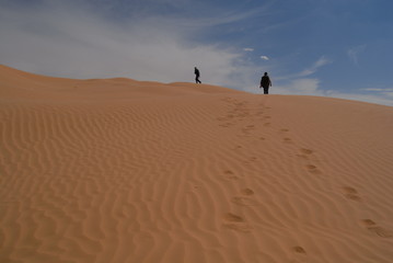 Wandern in der Sahara