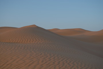 Fototapeta na wymiar Sandüne in der Sahara