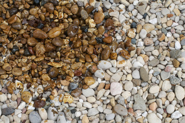 Oil covering rocks