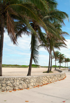 Pedestrian Promenade South Beach Miami Florida