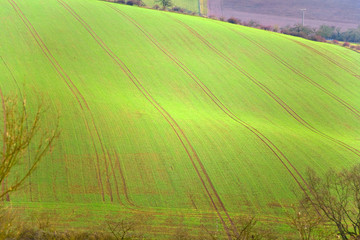 landscape with freshly plowed acre and green plants