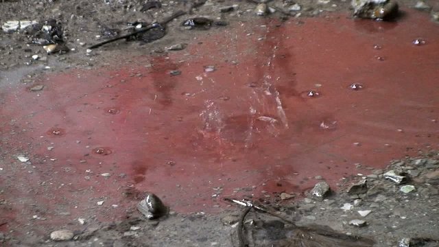 pozzanghera rossa di pioggia