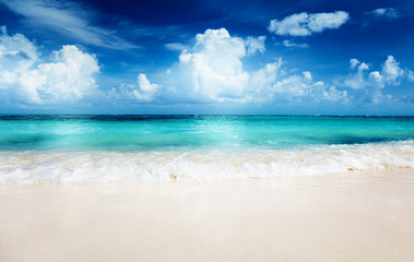 sand of beach caribbean sea