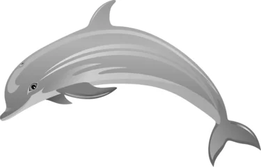Zelfklevend Fotobehang Delfino-Dolphin-Dauphin-Vector © BluedarkArt