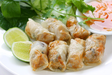 Cha Gio,  Nem Ran , Vietnamese Crispy Spring Roll