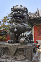 chine,beijing : palais d'été, dragon assis
