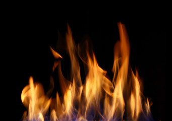 Fototapeta premium Burning fire, may be used as background