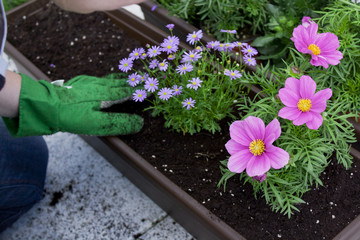 Blumenkasten