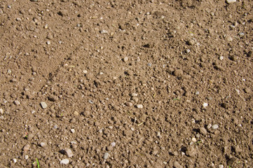 Erde