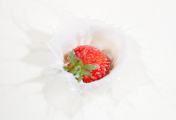 Fresh strawberry splashing into milk