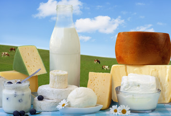 Foodstill with Bio dairy products- cheese and milk