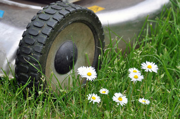 Fototapeta premium Gazon