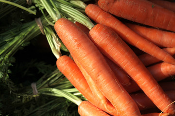 CAROTTES - - - Marché - 21 mopix (#32)