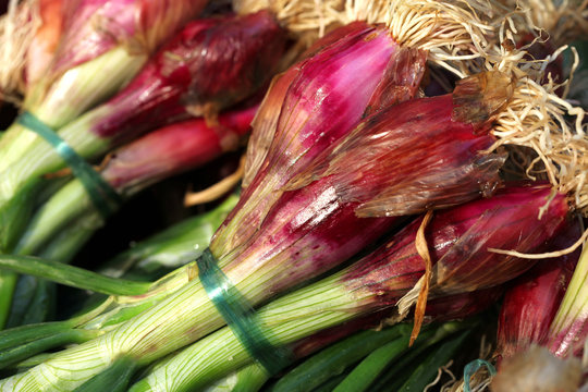 ECHALOTTES ROUGES - - - March&eacute; - 21 mopix (#34)