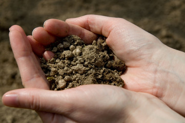 Hand mit Erde