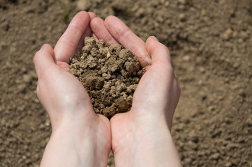 Hand mit Erde