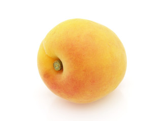 Apricot