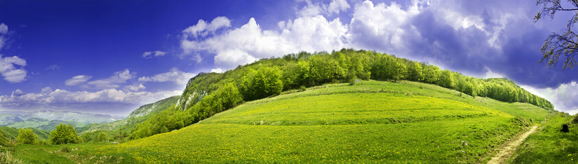 Fresh, clean summer landscape panorama